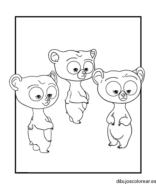 Dibujos de osos para colorear