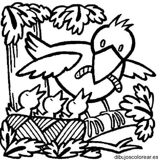 Familia de pájaros para colorear