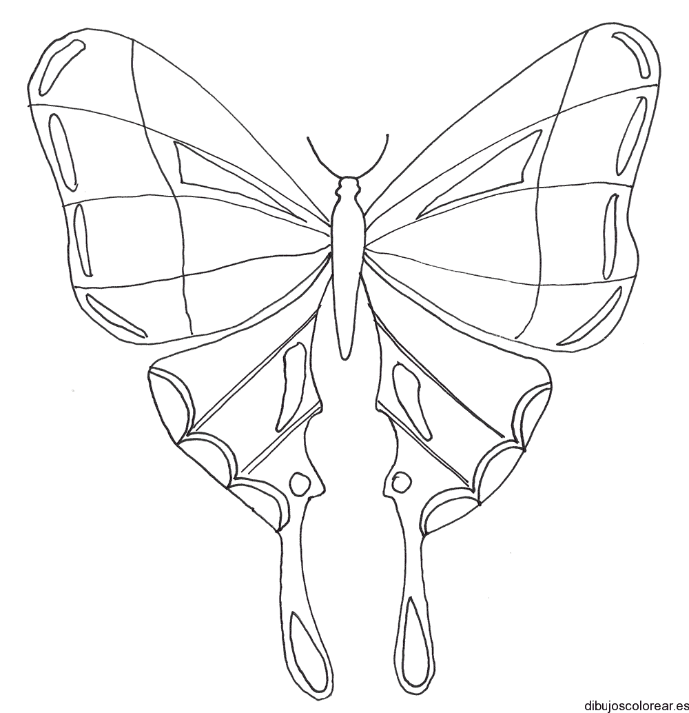 Mariposa monarca para colorear