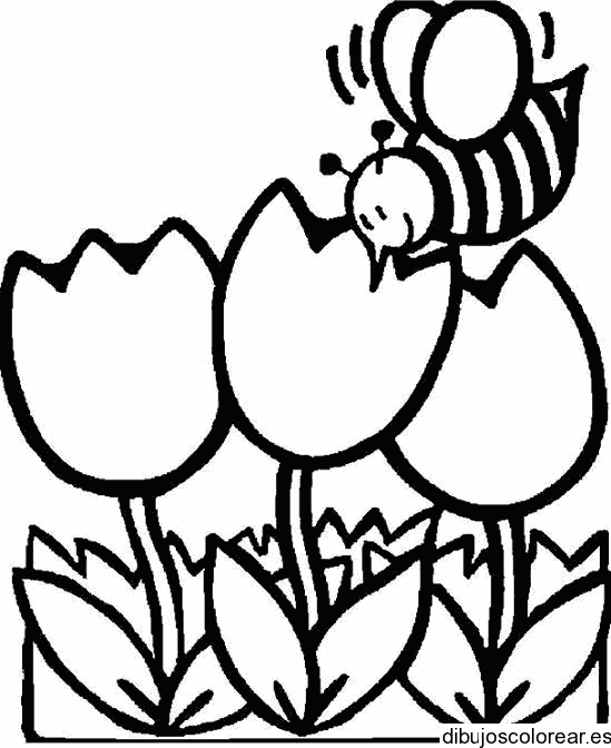Mariposa y flores para colorear