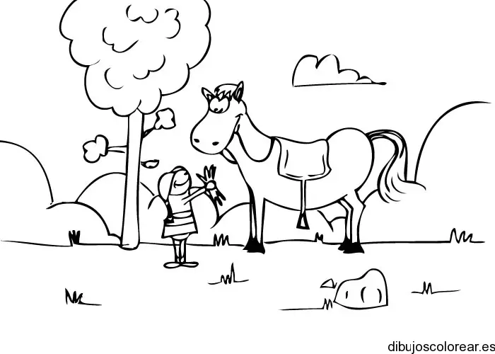 Niño alimenta caballo para colorear