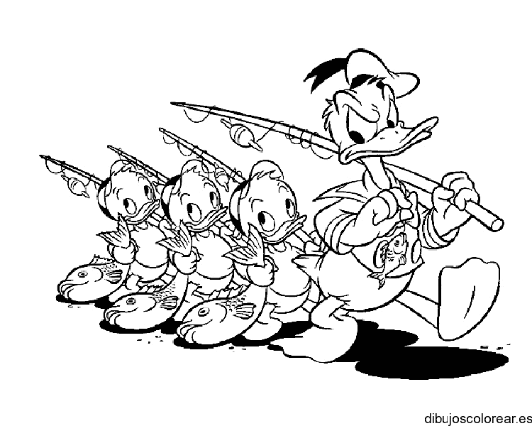 Pato Donald y sus sobrinos para colorear