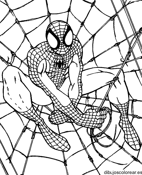 Spiderman para colorear