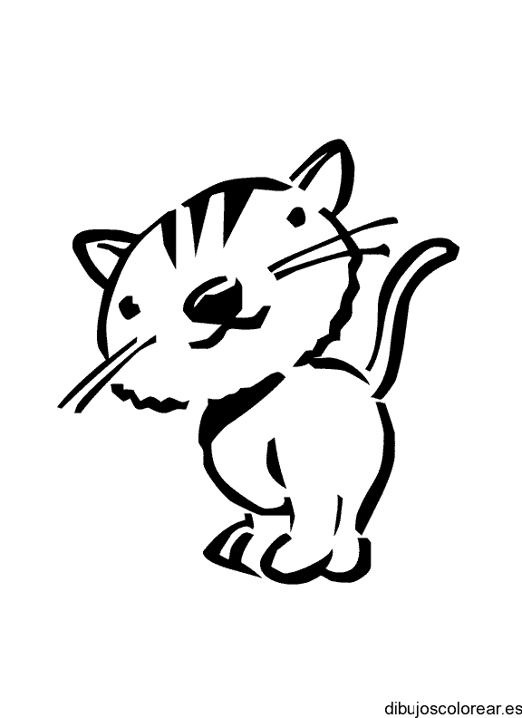 Tatuaje de un cachorro tigre para colorear