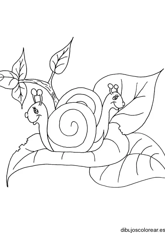 Un caracol para colorear