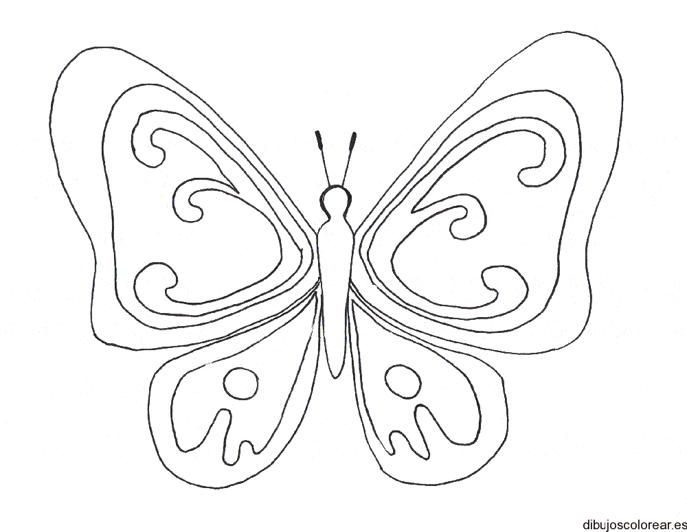 Una mariposa para colorear